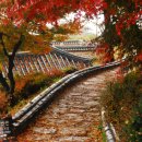 부석사가는길에 이미지