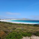 리틀럭키 이미지