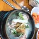 백년지기삼계탕