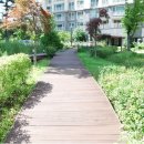 동일수지 이미지