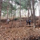 풍월농장 이미지