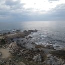 멍이하루 이미지