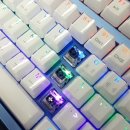 제네시스PC방 이미지