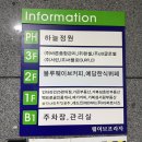블루웨이브 | 시흥 거북섬 카페 추천 반려동물 동반 가능한 서핑뷰 이국적인 블루웨이브커피 후기