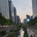 동아 행정사 사무소 이미지