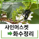 화수 농장 이미지