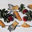 오메가플러스 이미지