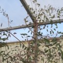 조제농장 이미지