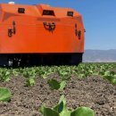 와이즈팜 이미지