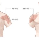 비터스윗코리아 이미지