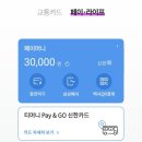 신한카드 고속버스 20% 할인? 티머니 Pay&GO 직접 해본 후기