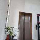 스텔라 펜션 이미지