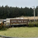 창수메밀영농조합법인 | 제주 서귀포 맛집 한라산아래첫마을 비비작작면 웨이팅 + 내돈내산 솔직후기