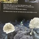 심연 - 서구 | 심연