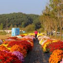 청양 3리 이미지