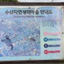 수산2리 생태마을 포토존 이미지