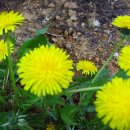 솔빛공원 이미지