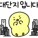 금조공인중개사사무소 이미지