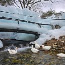 국민힐링 | 겨울 경주 국민힐링파크 카누 체험 솔직 후기