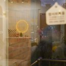 고양이분양전문달루나캣츠 - 마포구 서강로 79 | 고양이분양전문달루나캣츠