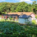 상교농장 이미지