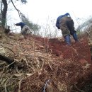 대도농장 이미지