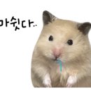 위례성대로16길 이미지