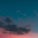 도그리니 이미지