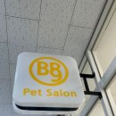 비비나인 이미지