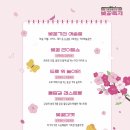 2024 경주 대릉원돌담길 벚꽃축제 이미지