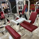 바디파워짐 이미지