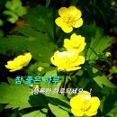 명륜진사갈비 무주점 | 무주군에서 현지인이 추천하는 명륜진사갈비 전북무주점 , 꼭 가봐야 할 맛집