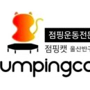 점핑캣반구점