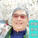 새아침약국 이미지