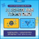 베르데수학