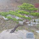 김천물소리생태숲_#1 이미지