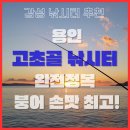 내가낚시터 | 용인 고초골 낚시터 완전정리, 고즈넉한 저수지에서 즐기는 감성 낚시