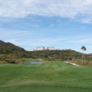 오투골프 이미지