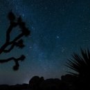 멍베스트 이미지