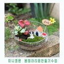 기장초등학교병설유치원 | 부산 원예수업 기장초병설유치원 테라리움 만들기수업