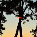 안성면109 이미지