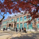 가을탐방(성인) 이미지