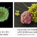 NK소재 네이버블로그