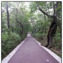 자연향기민박 이미지