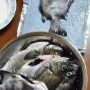 제주무릉도원집 이미지