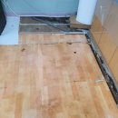 새생명지역아동센터 이미지