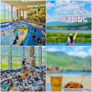 아쿠아 파크 | 하남 스타필드 워터파크 실내 놀거리 아쿠아필드 버블 찜질방