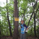 석천농로 이미지