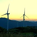 서광목장 이미지