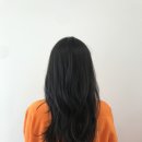 엘코너26